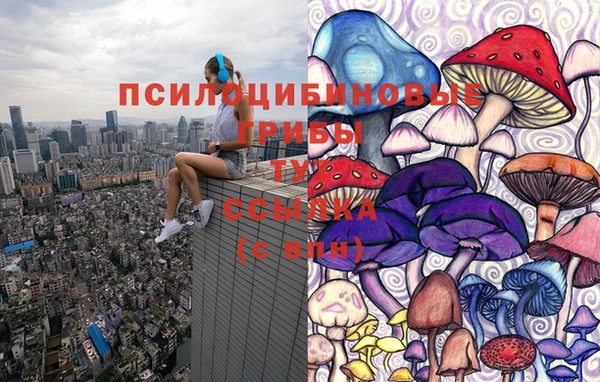 альфа пвп Гусиноозёрск