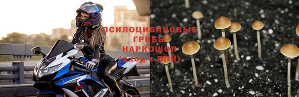альфа пвп Гусиноозёрск