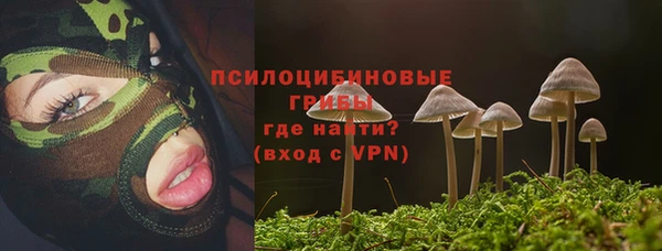 MESCALINE Гусев