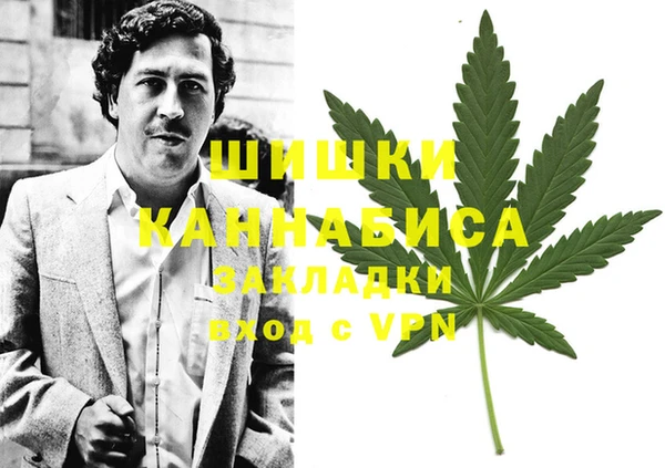 MESCALINE Гусев