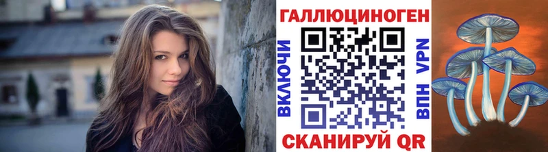 Псилоцибиновые грибы Psilocybe  Нахабино 